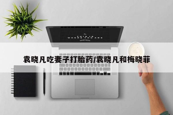 私人卖打胎药微信微信誉好的商家！袁晓凡吃妻子打胎药/袁晓凡和梅晓菲